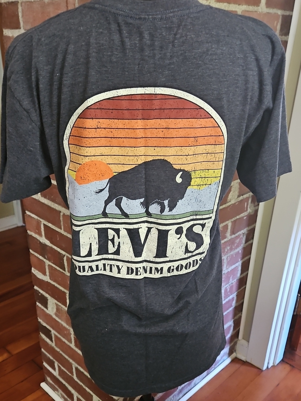 Levi's Charcoal Graphic Tee with Sunset Buffalo